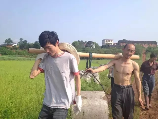 青春是用來奮斗的，除甲醛的青春最美麗！