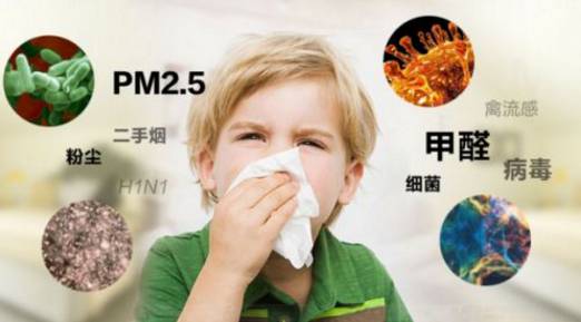 為什么人們對于專業除甲醛業務的需求越來越大？