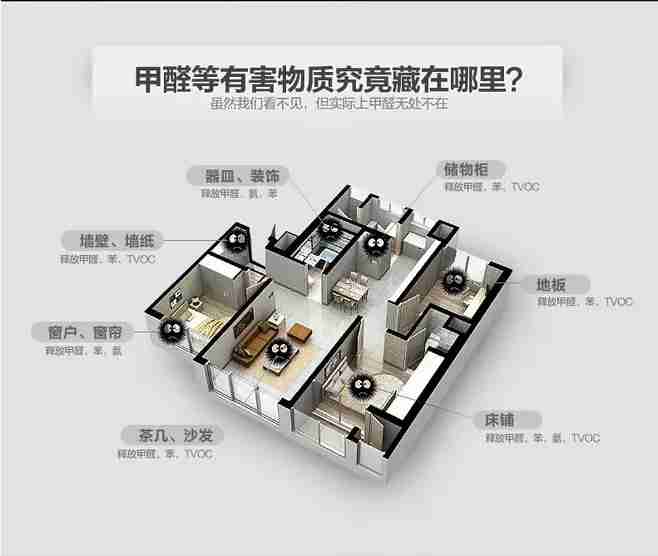 除甲醛公司哪家好？為什么專業(yè)除甲醛才靠譜