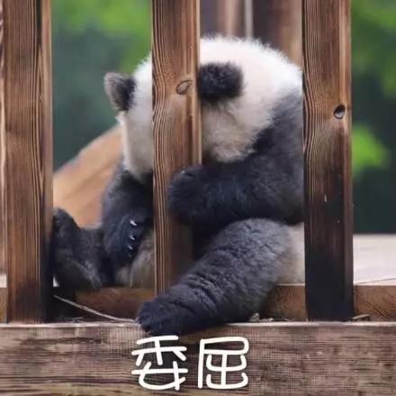 別大意！七大除甲醛“誤區”，信了你反而會生??！通風、綠植、活性炭、熏蒸……你中招了嗎？